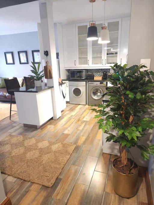 Cape Town, Sea Point, Beautiful 2 Bedroom Apartment @Tucked Away מראה חיצוני תמונה